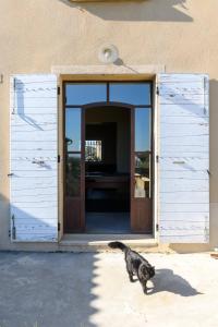 Maisons de vacances Mas Winery Les Cardelines : photos des chambres