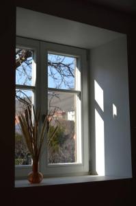 Appartements La Douce Escale : photos des chambres