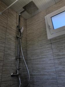 Converted Shed Studio & Garden Hanging Bed