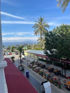 Alpha center apartment