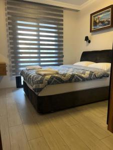 Alpha center apartment