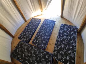 FamilyCamp perto do Magic City