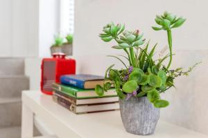 Design & Stylish House in the CENTER of Valencia