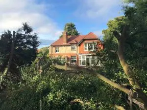 Luxury large coastal retreat near the sea - Walmer