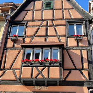 Appartements Gite Edelweiss a Eguisheim : photos des chambres