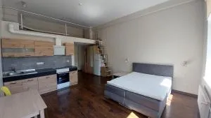 Loft styled apartment near Noblessner - Sitsi