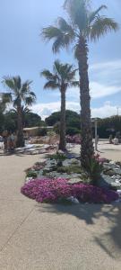 Campings Coco - Camping le Mar Estang : photos des chambres