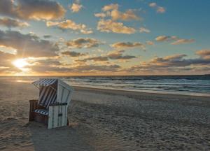 Miss Evans macht blau