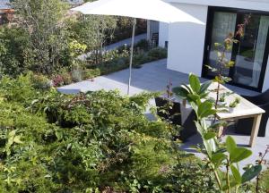 Wellenspiel - einmalige Atmosphäre mit Rosengarten