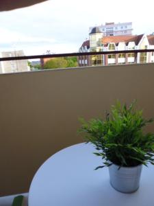 Trefl Apartment