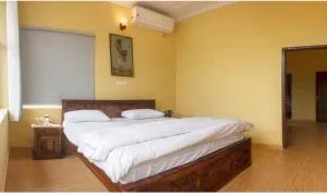 Riva dreams - دارامسالا