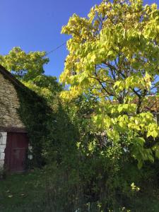 Maisons de vacances LA GRANGE DU CHAPELAT : photos des chambres