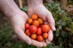 Eco Village Baia Delle Ginestre img38