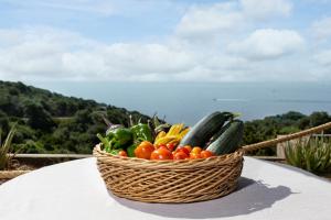 Eco Village Baia Delle Ginestre img40