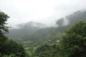 guest hause giorgi,kobuleti- xala