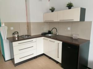 Alicja apartament