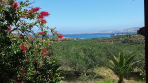 Galini Apartments Lasithi Greece