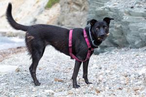 Eco Village Baia Delle Ginestre img41