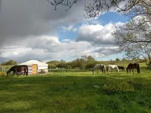 mongolische Jurte im ART.Quartier - Löbnitz