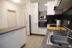 Arena apartment with 3 bedrooms in the city center