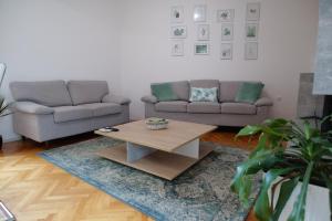 Arena apartment with 3 bedrooms in the city center