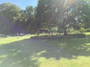 Vigo Retreat cabin 2