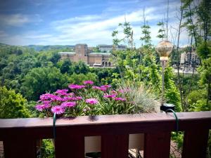 The Green Guest House-Amazing View, Top Location, Entire House