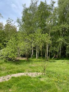 Berits Bed and Breakfast