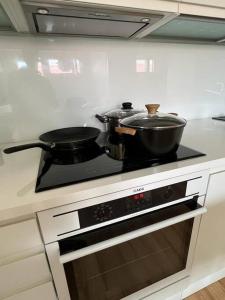 Spacious and Stylish Penthouse in Downtown Rovaniemi