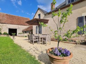 Maisons de vacances Chateau de Paraize : photos des chambres