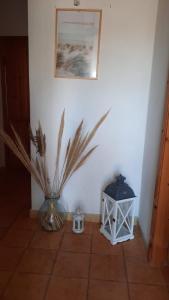 Sardegna casa vacanze La bouganville