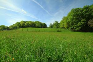 Chalets Le Chal'home, montagne et nature : photos des chambres