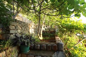 Accommodation Salvia