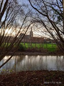 Sejours a la campagne Studio du gite : photos des chambres