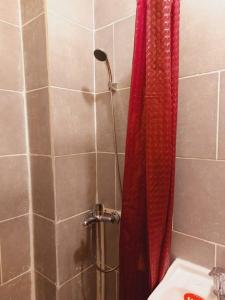 Mini studio aproape de centru