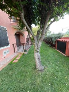 Casa vacanze Valledoria Q8732 img22