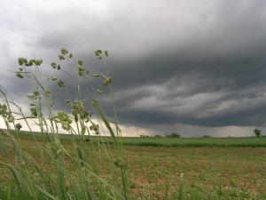 Agroturystyka Kalina Wielka