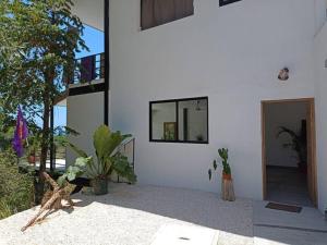 Laurel Jungle & Ocean