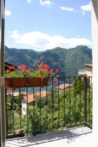 Il Mulino di Hotel Villa Aurora