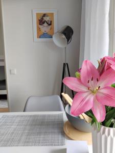 Toppilansalmi two bedroom apartment with a view