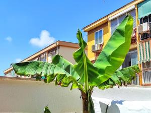 Manuela Nogales Apartments!