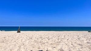 Blue Moon Hotel Mui Ne