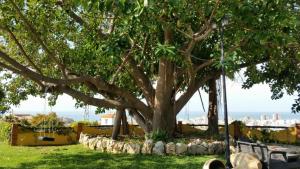 Cortijo Amaya