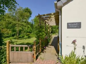 Bluebell Cottage - Brentor