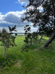 Dagö Berry suvemaja