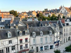 Appartements Spacieux appartement a Blois : photos des chambres