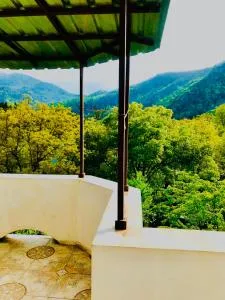 Zviad Guest House - Sakire