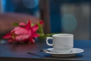 SPACIOUS 3 Bedroom Apartment (Sea View)