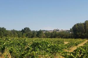 Appartements Maisonnette a la campagne. Ideal Teletravail : photos des chambres