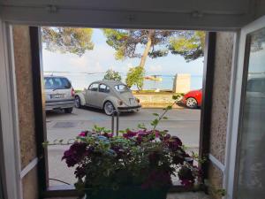 Apartman Brioni